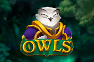 Owls